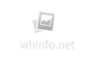 乳山口大橋已完成4榀鋼箱梁吊裝 主橋主體工程預計春節(jié)前完成